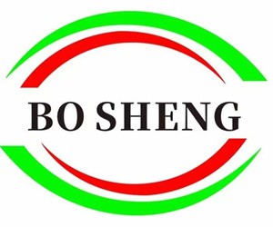 Guangdong Bosheng Nuovi Materiali Technology Co., Ltd.